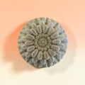 Comfrey Flower Soap
