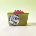 Bergamot Goats Milk Soap